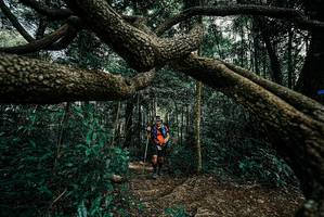 BIB: 
                            <button type="button" onclick="openModal(25705186)" class="btn btn-primary btn-sm float-right btn-popup" data-toggle="modal" data-target=".modal-high-quality">
                        <i class="fas fa-shopping-cart"></i> Add to Cart
                    </button>
                                            <button type="button" onclick="isThisMe(25705186, true)" class="btn btn-success btn-sm float-right btn-popup btn-isme hidden" data-toggle="tooltip" data-placement="bottom" title="นี่คือรูปของคุณใช่ไหม คลิกที่นี่เพื่อเอาเข้าอัลบั้ม">
                        <i class="fas fa-plus"></i> Add to album
                    </button>
                    <button type="button" onclick="isThisMe(25705186, false)" class="btn btn-warning btn-sm float-right btn-popup btn-isnotme hidden">
                        <i class="fas fa-ban"></i> Remove from album
                    </button>